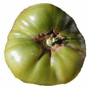 German green